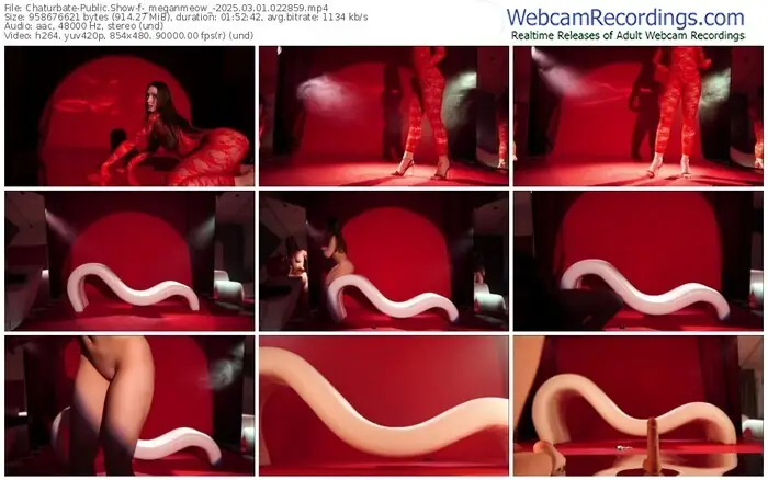 2025/03/01/chaturbate-_meganmeow_-02-28-59