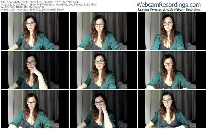 2025/03/01/chaturbate-fey_bb-14-02-45