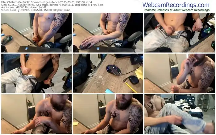 2025/03/01/chaturbate-ohgeesilence-19-21-34