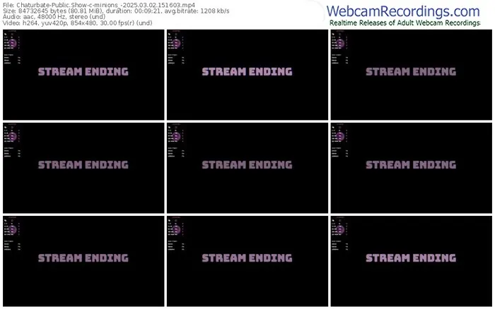 2025/03/02/chaturbate-minions_-15-16-03