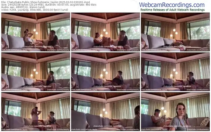 2025/03/02/chaturbate-phoenix_taylor-03-02-01