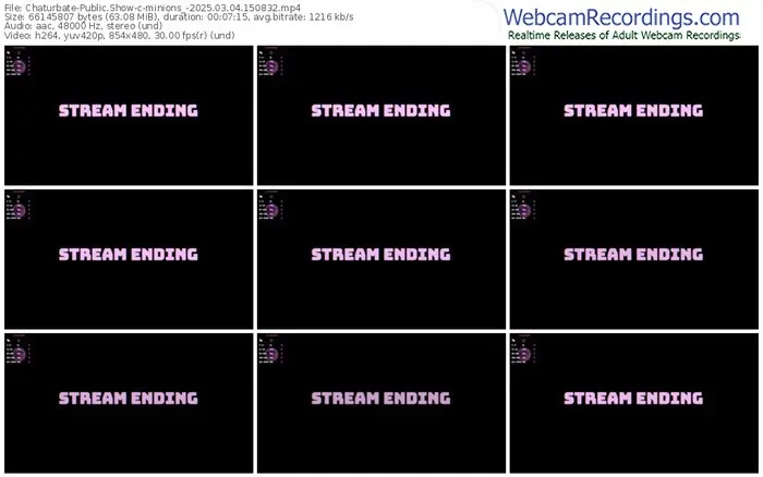 2025/03/04/chaturbate-minions_-15-08-32