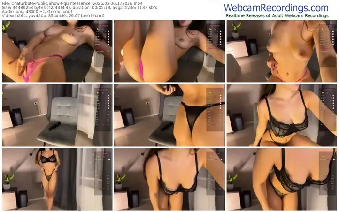 2025/03/06/chaturbate-quintessencel-17-30-16