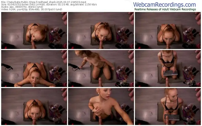 2025/03/07/chaturbate-redhead_shark-23-45-03