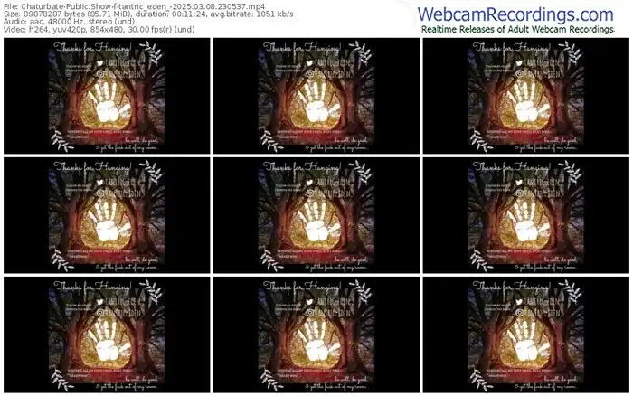 2025/03/08/chaturbate-tantric_eden_-23-05-37