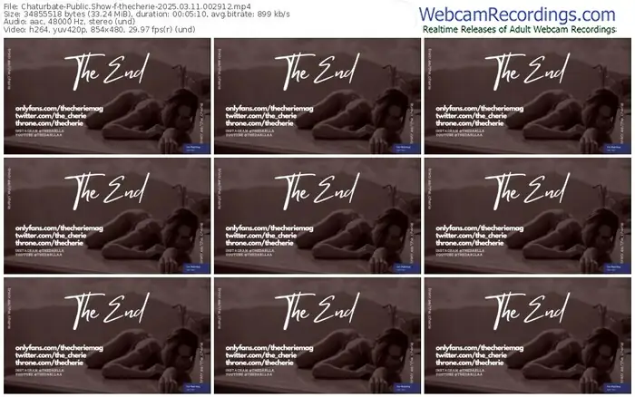 2025/03/11/chaturbate-thecherie-00-29-12