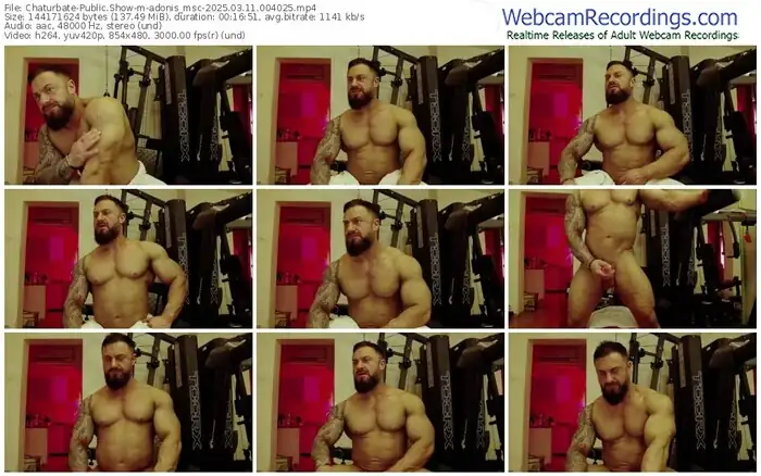 2025/03/11/chaturbate-adonis_msc-00-40-25
