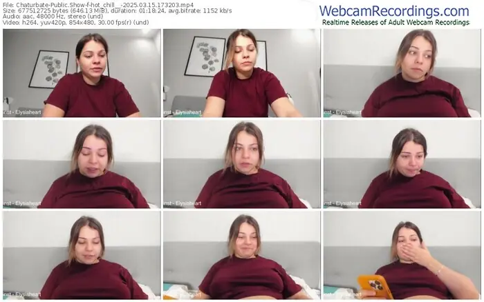 2025/03/15/chaturbate-hot_chill__-17-32-03