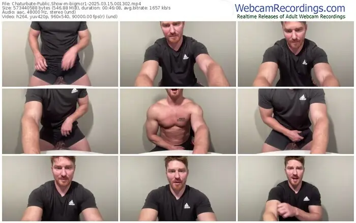 2025/03/15/chaturbate-bigmcr1-00-13-02