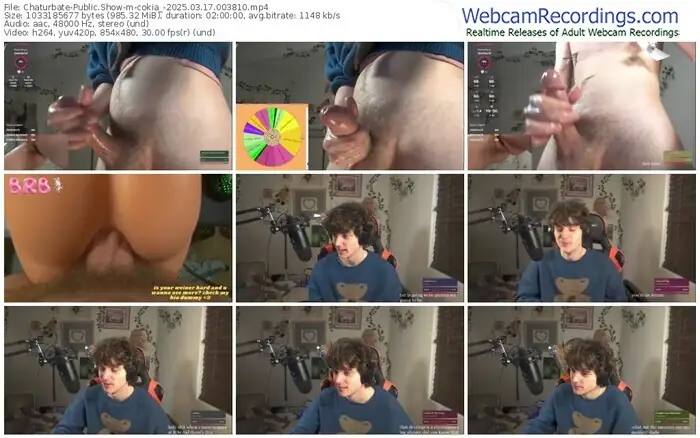 2025/03/17/chaturbate-cokia_-00-38-10