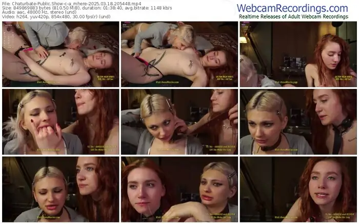 2025/03/18/chaturbate-a_mhere-20-54-48