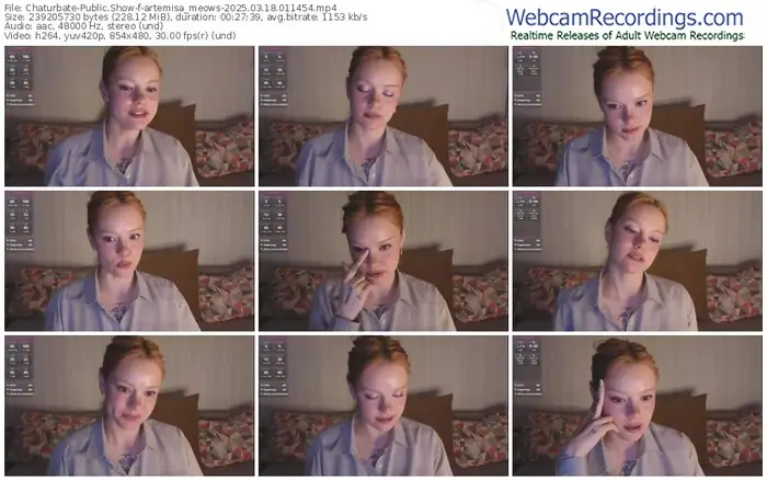 2025/03/18/chaturbate-artemisa_meows-01-14-54