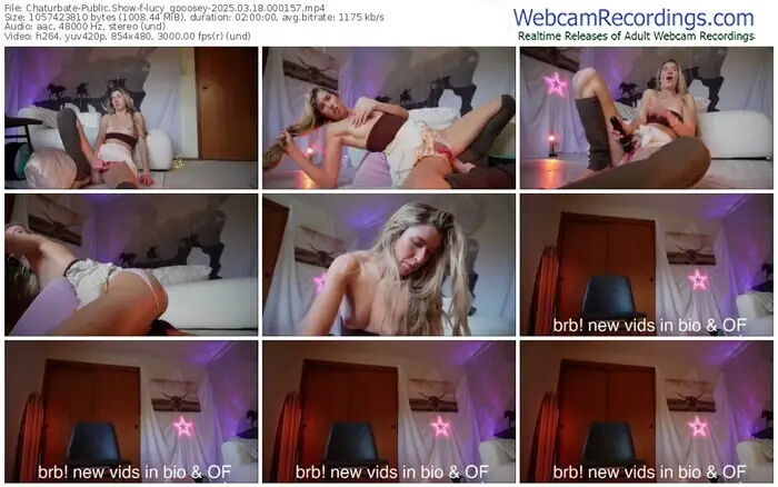 2025/03/18/chaturbate-lucy_gooosey-00-01-57
