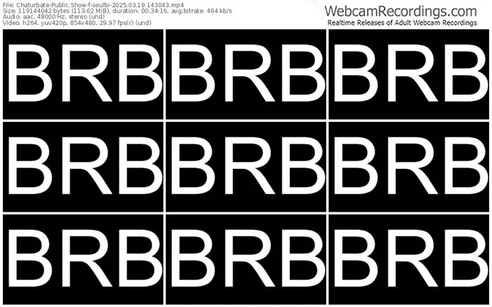 2025/03/19/chaturbate-seulbi-14-30-43