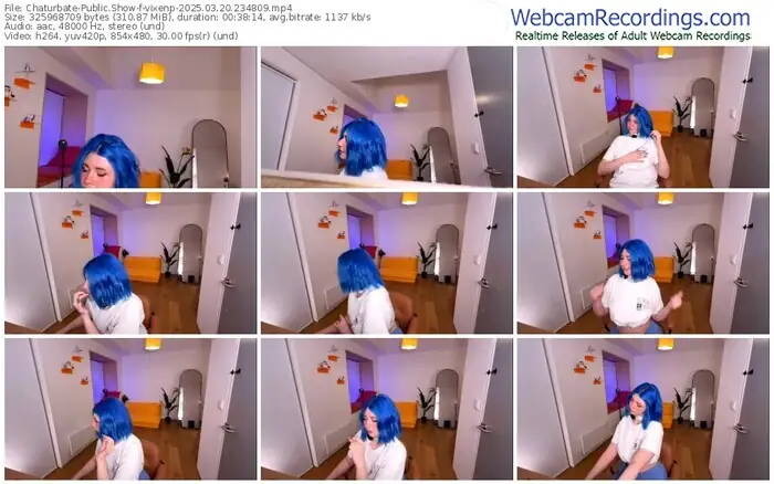 2025/03/20/chaturbate-vixenp-23-48-09