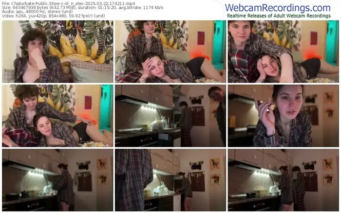 2025/03/22/chaturbate-di_n_alex-17-42-11