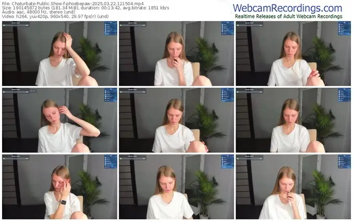 2025/03/22/chaturbate-phoebepaw-12-15-04