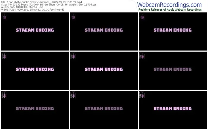 2025/03/23/chaturbate-minions_-15-01-53