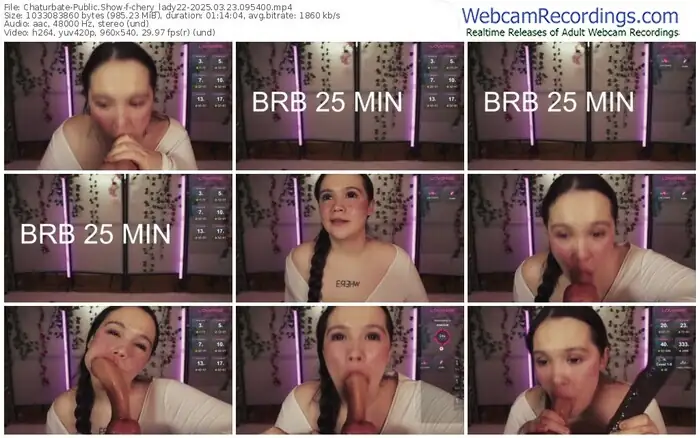 2025/03/23/chaturbate-chery_lady22-09-54-00