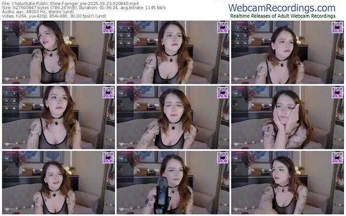 2025/03/23/chaturbate-ginger_pie-02-08-40