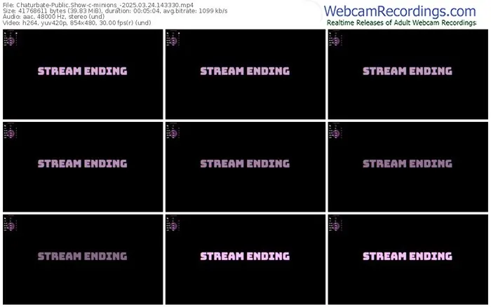 2025/03/24/chaturbate-minions_-14-33-30