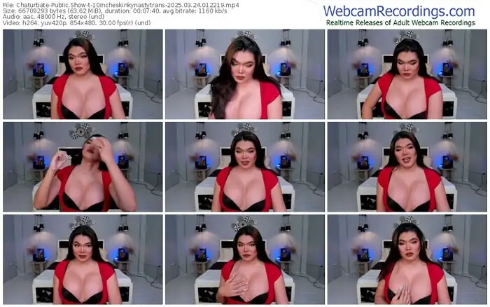 2025/03/24/chaturbate-10incheskinkynastytrans-01-22-19
