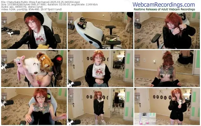 2025/03/25/chaturbate-archancel-04-02-04
