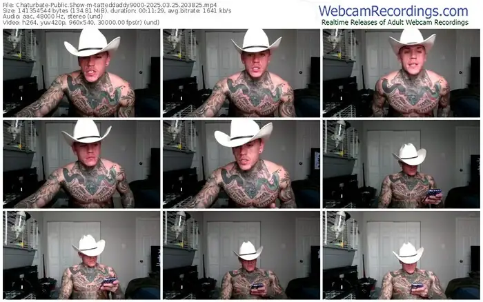 2025/03/25/chaturbate-tatteddaddy9000-20-38-25