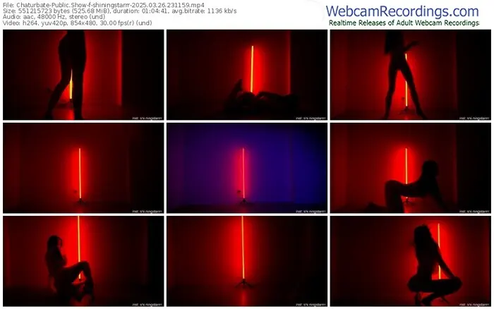 2025/03/26/chaturbate-shiningstarrr-23-11-59