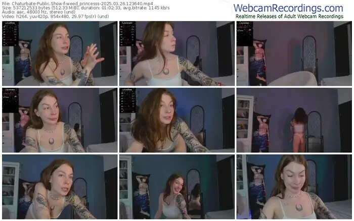 2025/03/26/chaturbate-weed_princesss-12-36-40