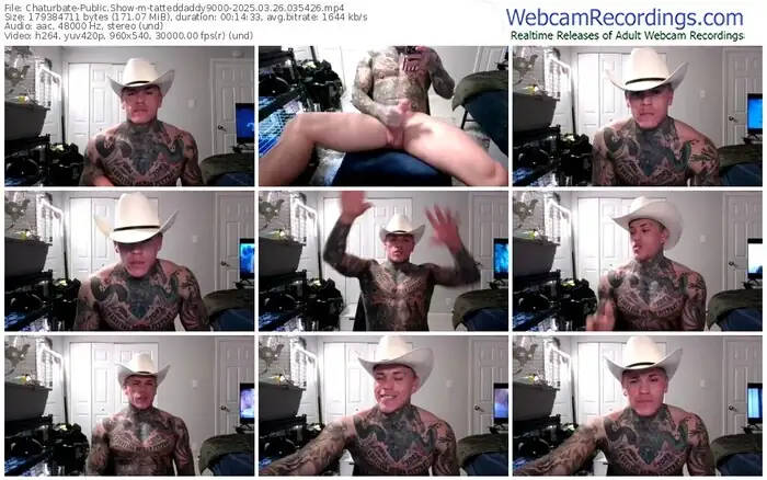 2025/03/26/chaturbate-tatteddaddy9000-03-54-26