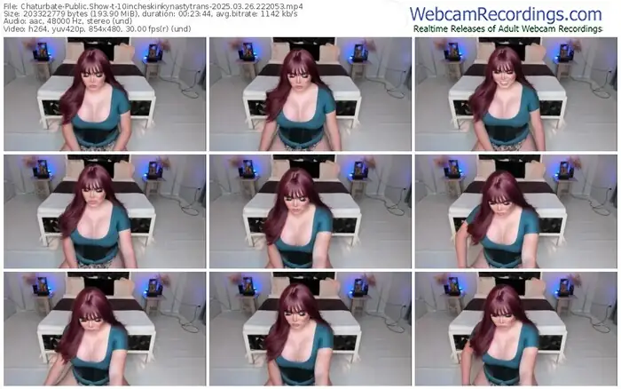 2025/03/26/chaturbate-10incheskinkynastytrans-22-20-53