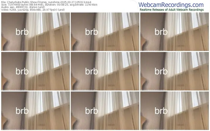 2025/03/27/chaturbate-honey_sunshine-10-53-13