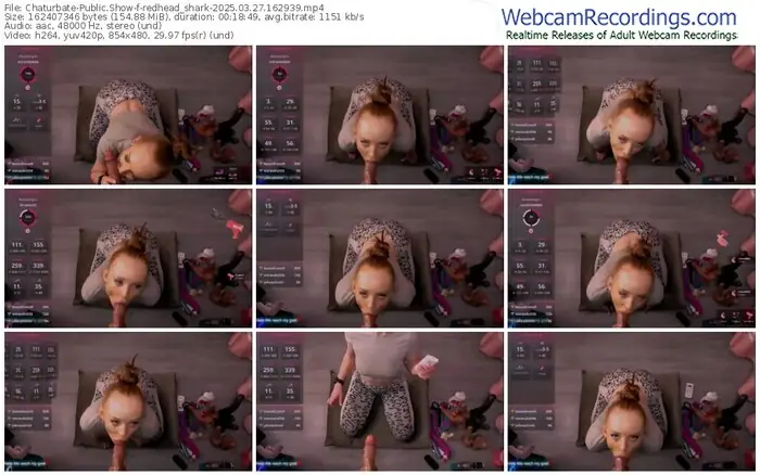 2025/03/27/chaturbate-redhead_shark-16-29-39