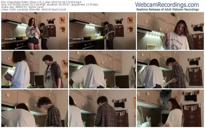 2025/03/28/chaturbate-di_n_alex-17-41-56