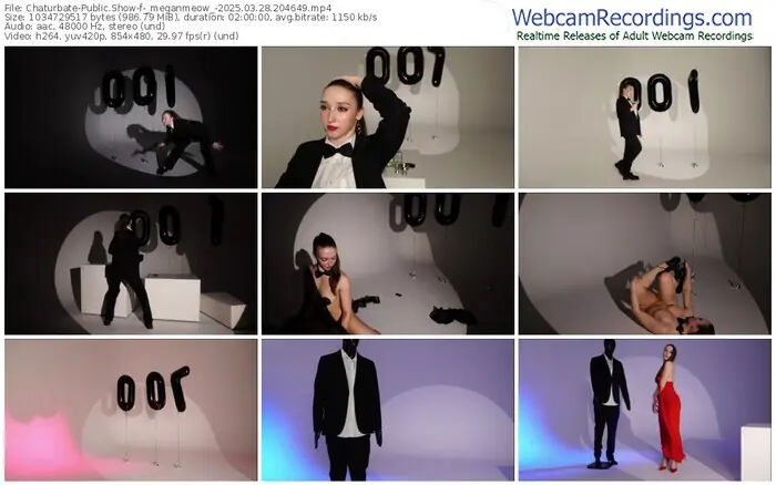 2025/03/28/chaturbate-_meganmeow_-20-46-49