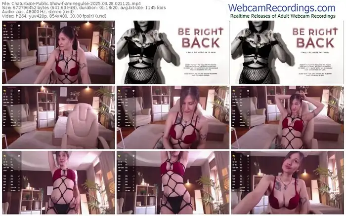 2025/03/28/chaturbate-aminegulse-02-11-21