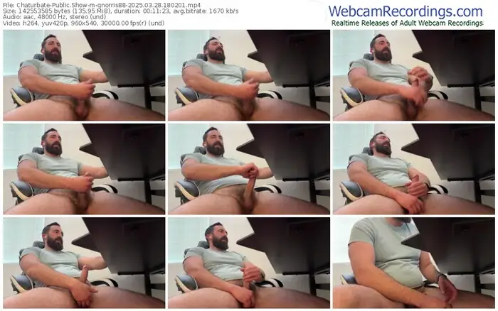 2025/03/28/chaturbate-gnorris88-18-02-01