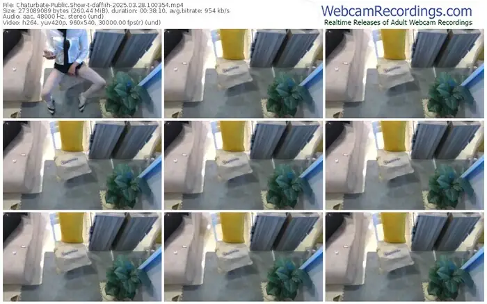 2025/03/28/chaturbate-daffiih-10-03-54