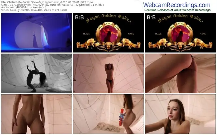 2025/03/29/chaturbate-_meganmeow_-01-19-22