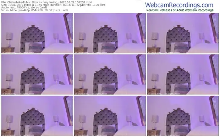 2025/03/29/chaturbate-cherylloving_-15-32-08