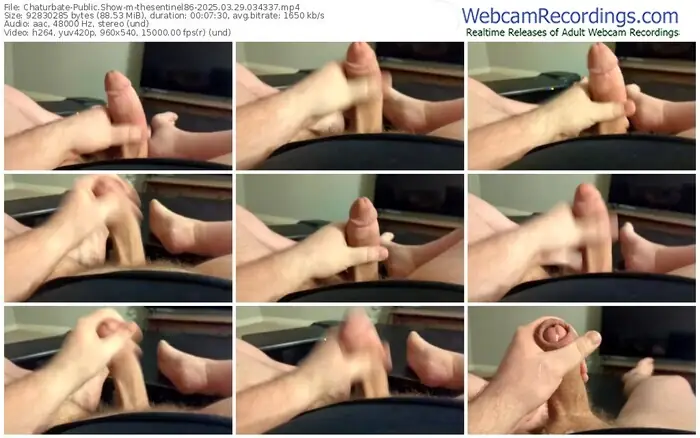 2025/03/29/chaturbate-thesentinel86-03-43-37