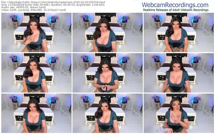2025/03/29/chaturbate-10incheskinkynastytrans-00-57-04