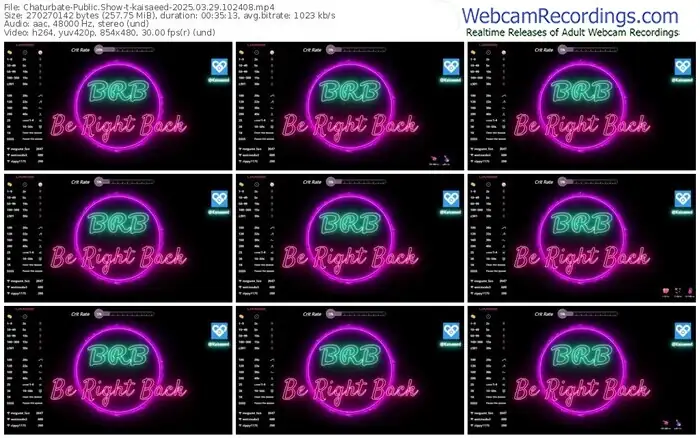 2025/03/29/chaturbate-kaisaeed-10-24-08