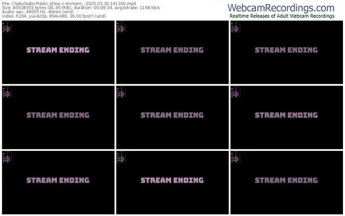 2025/03/30/chaturbate-minions_-14-13-00