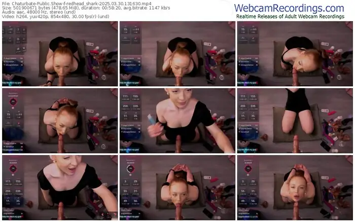 2025/03/30/chaturbate-redhead_shark-13-16-30