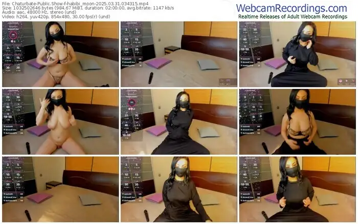 2025/03/31/chaturbate-habibi_moon-03-43-15