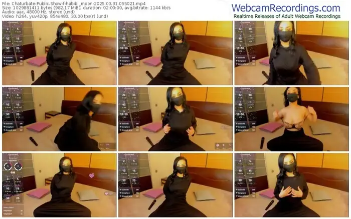 2025/03/31/chaturbate-habibi_moon-05-50-21