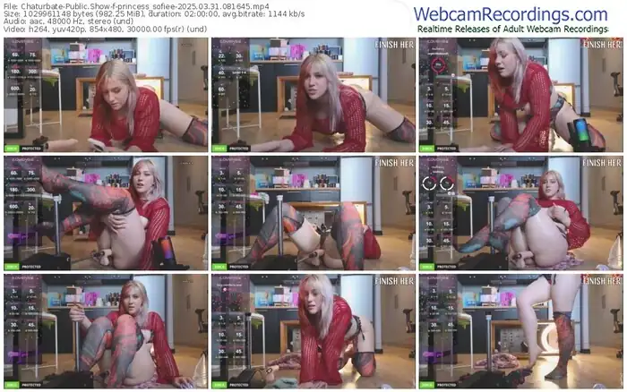2025/03/31/chaturbate-princess_sofiee-08-16-45