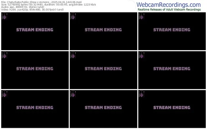 2025/04/01/chaturbate-minions_-14-41-06